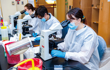 Medical Laboratory Science Students in Classroom