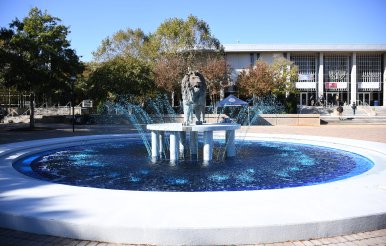 Homecoming Week Blue Fountain