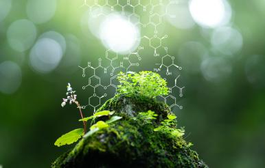 Plants background with biochemistry structure.