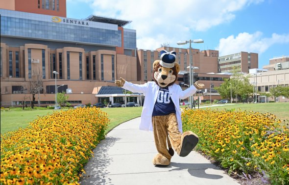 a costumed person walks down a sidewalk 