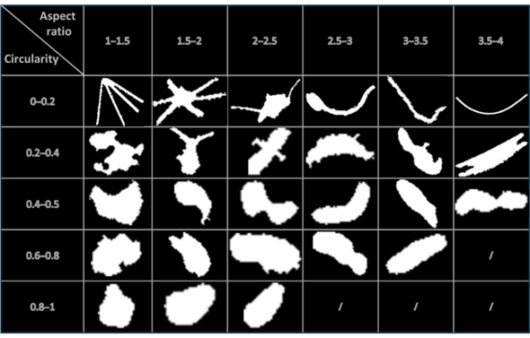 Huanqing Huang graphic OES