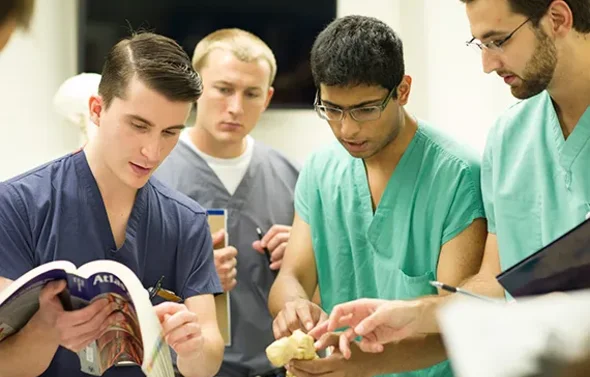 Students examine anatomy models.