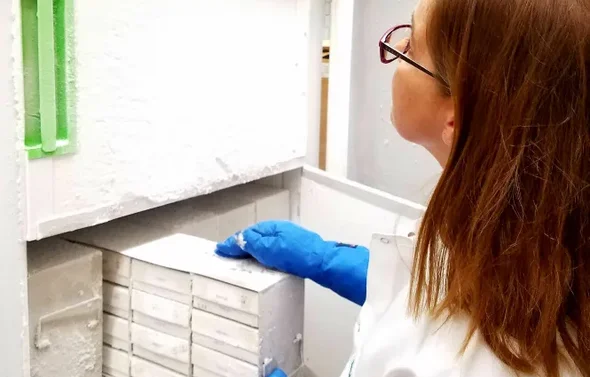Technician in blue gloves removing drawer of specimens