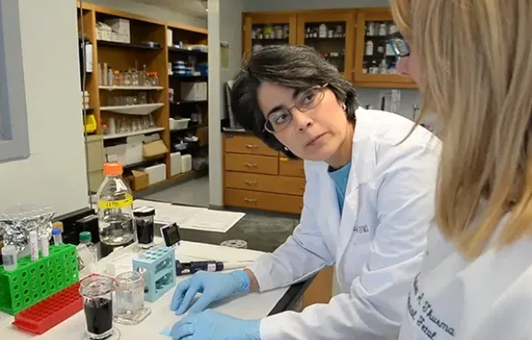 Reproductive endocrinologists work together in the lab.