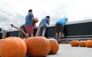 Dozens of pumpkins plunged nine stories from atop the Batten