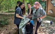 Residents in the woods wrapping up another resident in a tarp