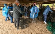Students and staff look through oyster cages.