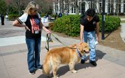Licensed counselors and therapy dogs are on hand for students as they return to campus following Spring Break.