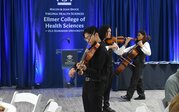 The Strolling Strings