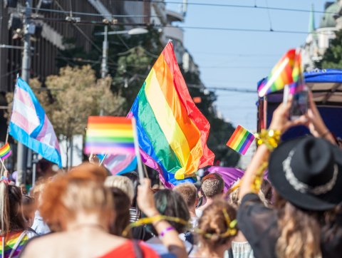 Marching crowd with pride flags