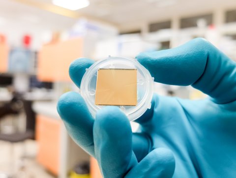 biomedical sensor in a hand wearing a blue glove