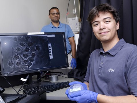 Nsf-undergraduate-research