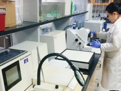 Research & Facilities