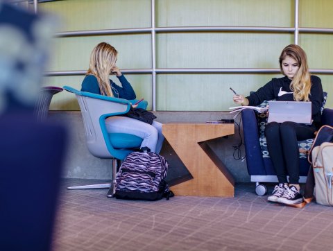 Two female students studying inside Perry Library.