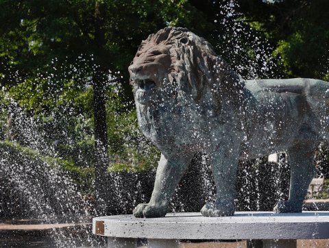 Webb Lion Fountain