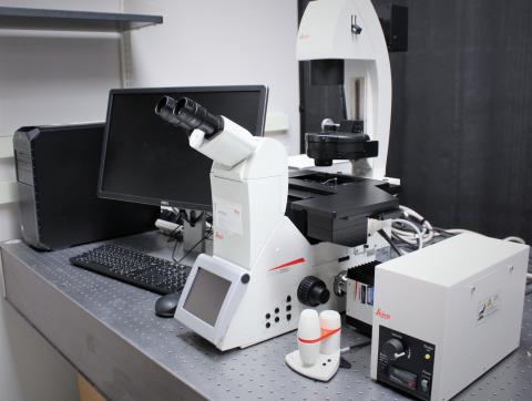 Imaging & Irradiation