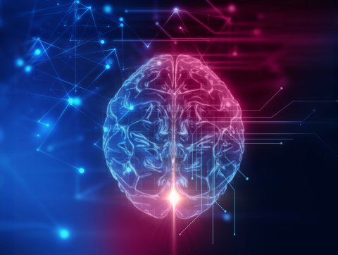 Brain Rendering