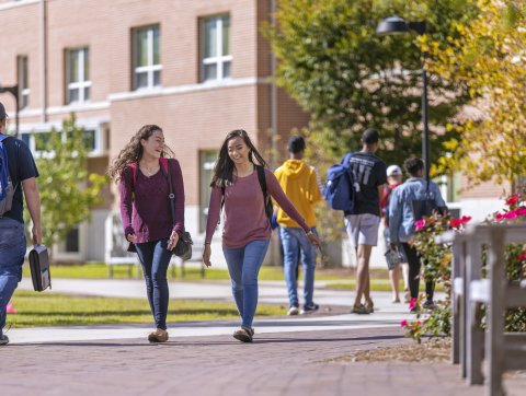 Research Using Humans