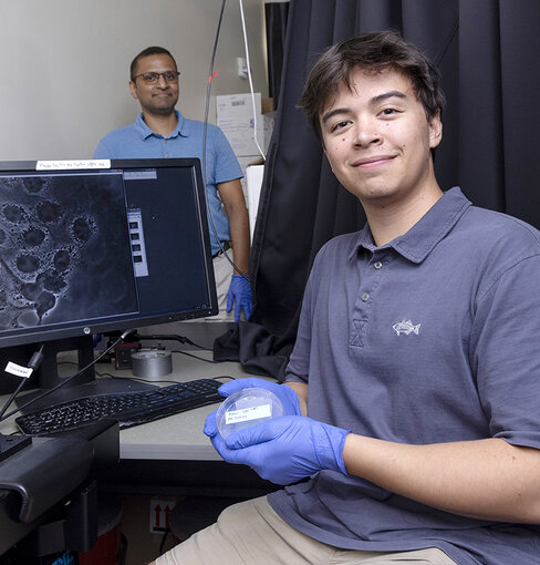 a student doing work in the cellular lab