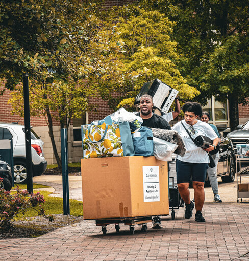 Move-in Tips