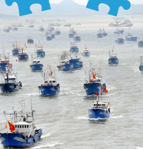 Law in the Gray Zone