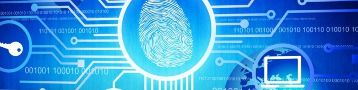 Cybersecurity Fingerprint Stock