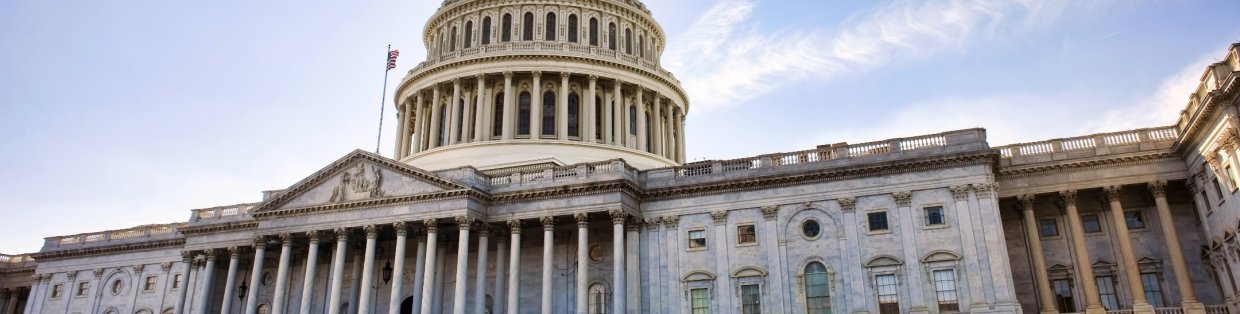 capitol building shot from an angle with a clear blue sky and sunshine. 