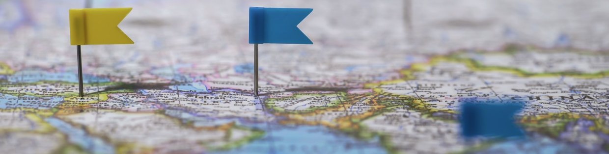A map with different colored flag toothpicks marking specific points. 