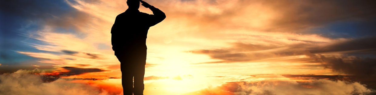Military person saluting during sunset.