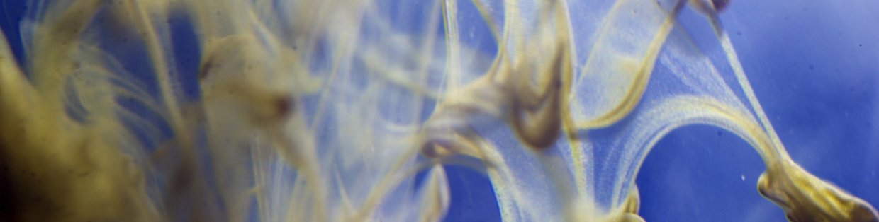 White streaks in blue paint. 