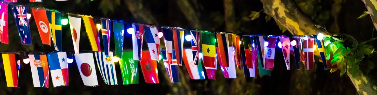 World Languages & Studies
