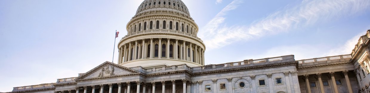 sideway angle shot of the capitol building in washington d.c. during a bright cloudless day.