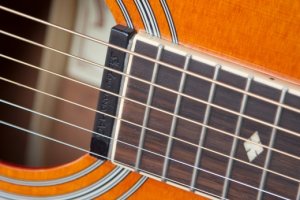 Orange Guitar Neck With Strings