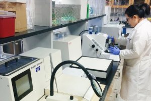 Biomedical Sciences Student