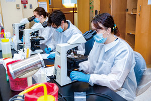 Medical Laboratory Science Students in Classroom
