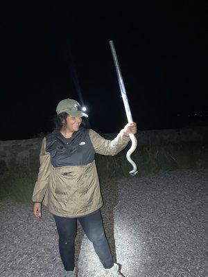 A woman holds a rattlesnake in the desert. 