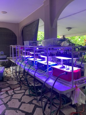 A scientific device called the Coral Bleaching Automated Stress System (CBASS) sits on a hotel balcony. 