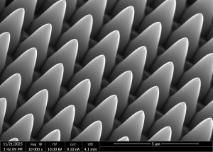 Image taken from FEI Helios NanoLab 450S DualBeam FIB/SEM microscope on November 21, 2025