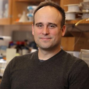 Portrait of Chris Highley