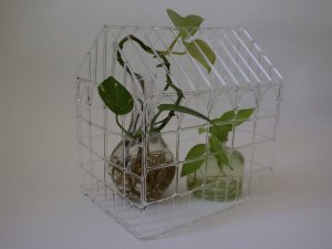 A sculpture made by Kaitlyn Compton titled "Nhà kính."