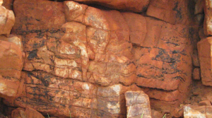 A photo of the side of a rock wall.