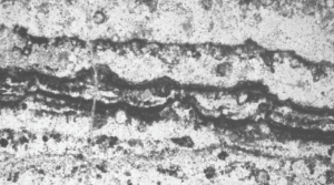 Fossil microbial mats.