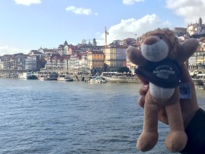 blug blue plushie in portugal