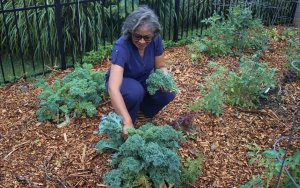 Woman kneels in a garden