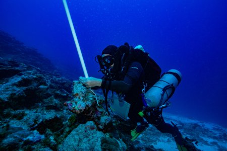Professor Dan Barshis uses a scientific device while scuba diving. 