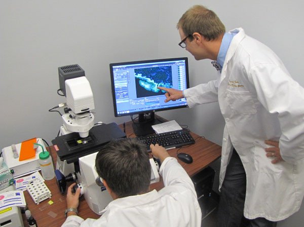 photo of cancer researchers