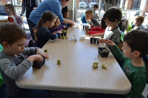 Photo of children planting seedlings