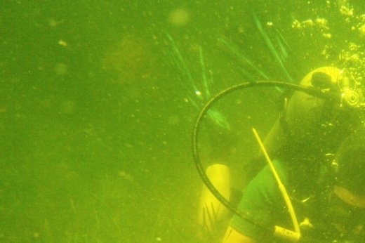 Dr. Victoria Hill Conducts Research