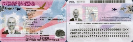 Front and back samples of Employment Authorization Document 