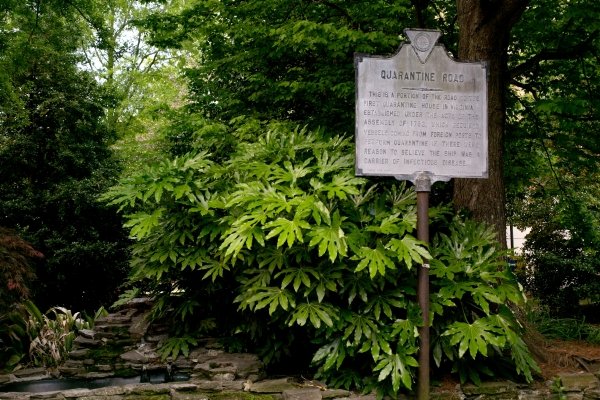 around-odu-quarantine